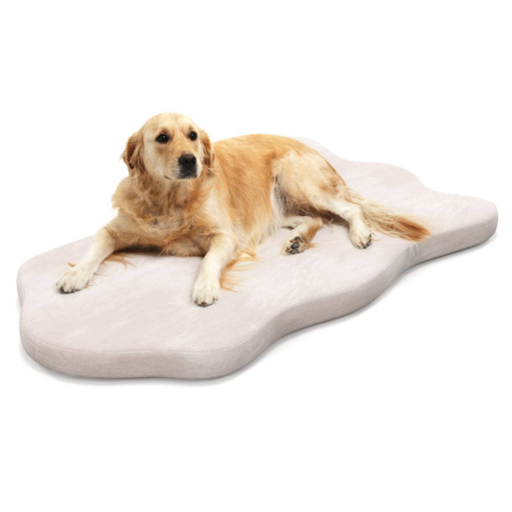 SUGIFT Orthopedic Dog Bed with Memory Foam Support for Large Dogs